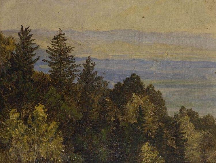 Carl Gustav Carus Blick uber einen bewaldeten Abhang in weite Gebirgslandschaft Spain oil painting art
